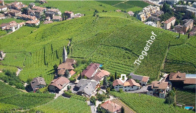 Trogerhof sicht auf Weingut