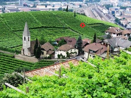 Weingut Trogerhof des Pepi Staffler St.Magdalena Bozen